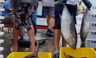 Imagem ilustrativa da imagem Capital do Atum, Itapemirim busca mercados no México e Índia para venda de pescado