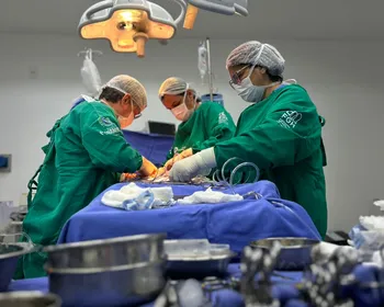 Imagem ilustrativa da imagem Pernambuco lidera em transplante renal e é segundo lugar em transplante cardíaco