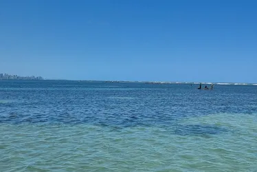 Imagem ilustrativa da imagem 12 trechos de praias em Pernambuco estão "impróprios para banho"