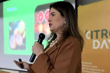 Imagem ilustrativa da imagem A Califórnia brasileira que floresce no Vale do São Francisco