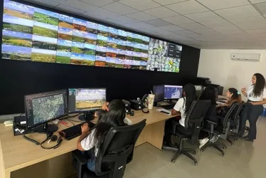 
          Imagem ilustrativa da imagem Ação humana provoca 90% dos incêndios florestais
          