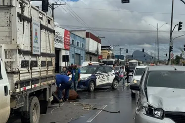 Imagem ilustrativa da imagem Acidente envolvendo cavalo e carro complica trânsito em Vila Velha