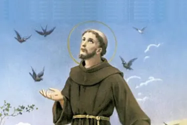 Imagem ilustrativa da imagem Animais recebem bençãos nas Igrejas de Recife e Olinda neste dia de São Francisco