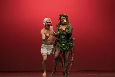 Imagem ilustrativa da imagem Antonio Nóbrega e Rosane Almeida estreiam "Mestiço Florilégio" no Teatro do Parque