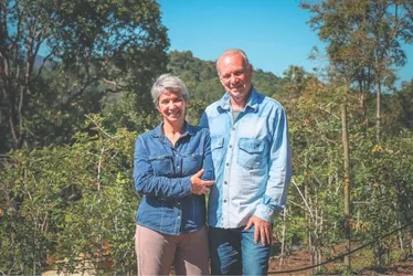 Imagem ilustrativa da imagem Aposentados ganham a vida com o cultivo de frutas vermelhas no ES
