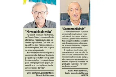 Imagem ilustrativa da imagem Aposentados ganham a vida com o cultivo de frutas vermelhas no ES