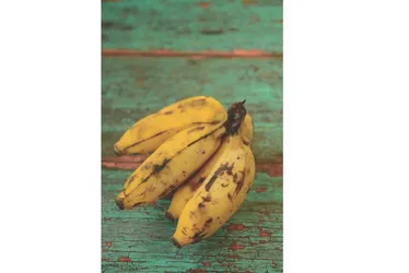 Imagem ilustrativa da imagem Aprenda a fazer um Bolo de cacau e banana que ajuda a manter a dieta