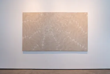 Imagem ilustrativa da imagem Artista capixaba apresenta exposição individual em Recife