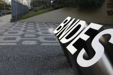 Imagem ilustrativa da imagem BNDES busca gestor para projetos de preservação de biomas