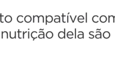 Imagem ilustrativa da imagem Beleza fermentada: formas de tratar a pele com ajuda das 'bactérias boas'