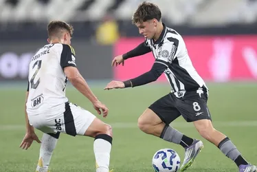 Imagem ilustrativa da imagem Botafogo supera metade do jogo com um a menos e vence Atlético-MG em casa