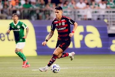 Imagem ilustrativa da imagem Brasileirão: Flamengo tem 52,7% de chance de título. Palmeiras tem 33,2%