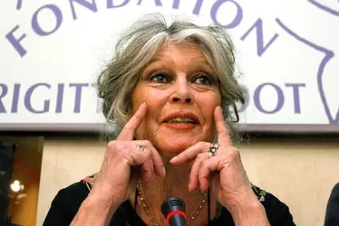 Imagem ilustrativa da imagem Brigitte Bardot é internada em estado grave aos 91 anos