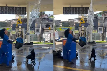 Imagem ilustrativa da imagem Brincadeira refrescante com cachorro em posto no ES viraliza nas redes; veja vídeo