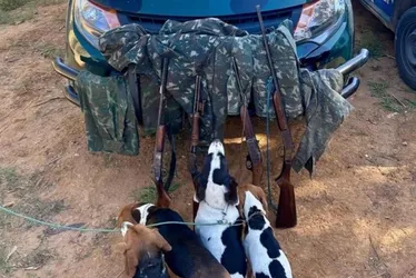 Imagem ilustrativa da imagem Caçadores são detidos com cães e arsenal e R$ 14 mil no ES
