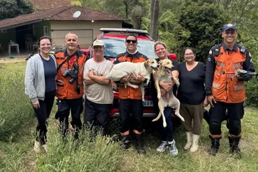 Imagem ilustrativa da imagem Cadelas são resgatadas de paredão de 60 metros na Região Serrana do ES