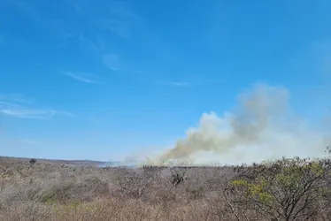 Imagem ilustrativa da imagem Calor e baixa umidade aumentam risco de incêndios florestais em Pernambuco