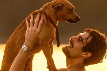 Imagem ilustrativa da imagem 'Caramelo': Netflix lança campanha de adoção inspirada no filme