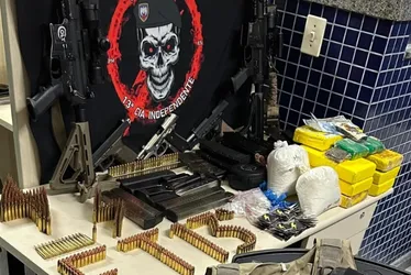 Imagem ilustrativa da imagem Casal que guardava arsenal dentro de casa é preso em Vila Velha