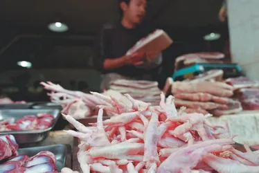 Imagem ilustrativa da imagem Chineses vão investir na produção de pés de galinha no ES