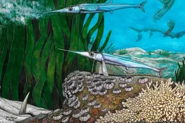 Imagem ilustrativa da imagem Cientistas brasileiros identificam nova espécie de peixe pré-histórico