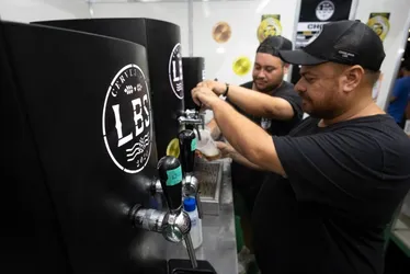 Imagem ilustrativa da imagem Circuito da cerveja com mais de 30 rótulos e shows