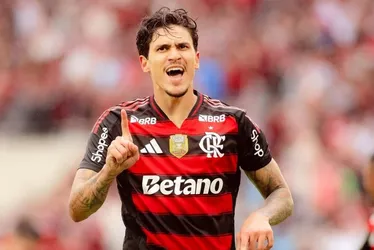 Imagem ilustrativa da imagem Com protagonismo de Pedro, Flamengo vence o Palmeiras e divide a liderança