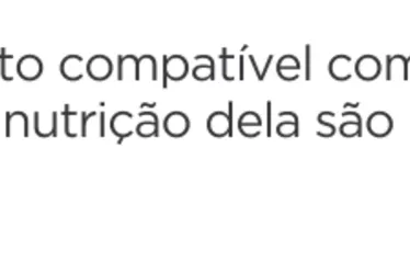 Imagem ilustrativa da imagem Cosméticos para crianças e adolescentes: pediatras dizem o que pode ou não pode