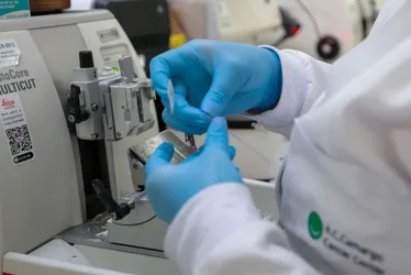 Imagem ilustrativa da imagem Cura de câncer de próstata pode chegar a até 98%