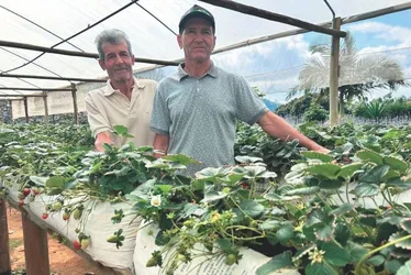 Imagem ilustrativa da imagem Dicas para turistar e conhecer as belezas de Mimoso do Sul