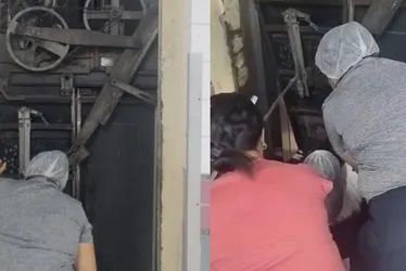 Imagem ilustrativa da imagem Elevador despenca com mulher dentro no Hospital da Restauração em Recife