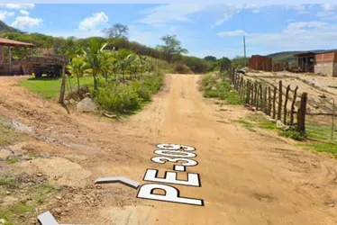 Imagem ilustrativa da imagem Em Solidão, sementes brotam entre fé, memória e o arroz da terra
