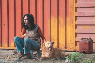 Imagem ilustrativa da imagem Estreia divertida com “A Sogra Perfeita 2” nos cinemas