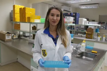Imagem ilustrativa da imagem Exame de DNA já ajudou a encontrar 28 desaparecidos