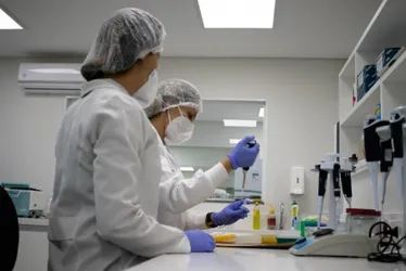 Imagem ilustrativa da imagem Exame de DNA já ajudou a encontrar 28 desaparecidos