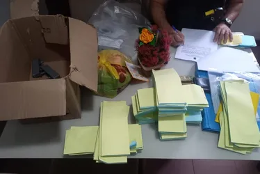 Imagem ilustrativa da imagem Empresários do ES são alvo de operação contra fraude no programa Farmácia Popular