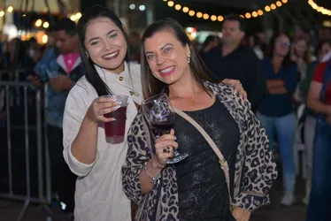 Imagem ilustrativa da imagem Festa com shows e pisa da uva em Santa Teresa