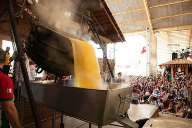 Imagem ilustrativa da imagem Festa da Polenta em Venda Nova do Imigrante deve atrair 45 mil visitantes