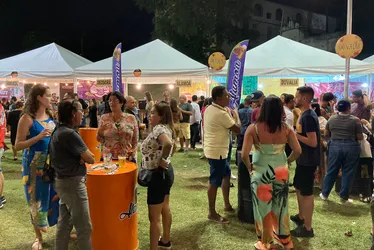 Imagem ilustrativa da imagem Festival de Cerveja Artesanal movimenta final de semana em Olinda