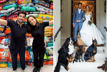 Imagem ilustrativa da imagem Filha de Faustão e marido pediram ração para pets em vez de presentes de casamento