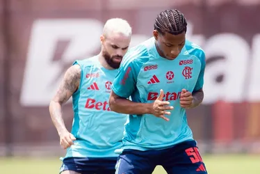 Imagem ilustrativa da imagem Flamengo reclama de testes antidoping antes de enfrentar o Palmeiras