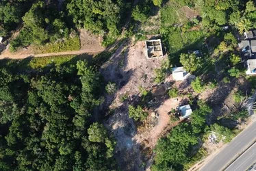 Imagem ilustrativa da imagem Guarapari: conselheiros do Parque Paulo César Vinha denunciam invasões