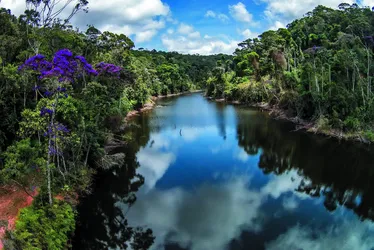 Imagem ilustrativa da imagem Guardiões da Natureza na reserva da Águia Branca