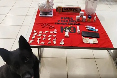 Imagem ilustrativa da imagem Homem é preso suspeito de tráfico de drogas na Região Serrana do ES