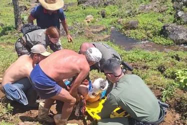 Imagem ilustrativa da imagem Homem sofre traumatismo craniano após cair de cavalo na Região Serrana do ES