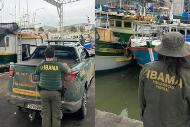 Imagem ilustrativa da imagem Ibama aplica R$ 22 milhões em multas em porto no Sul do ES