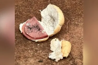 Imagem ilustrativa da imagem Idoso é preso suspeito de matar jovem com sanduíche de mortadela envenenado em MS