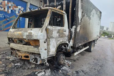Imagem ilustrativa da imagem VÍDEO: incêndio destrói caminhão na BR-101. Carga de carne foi saqueada