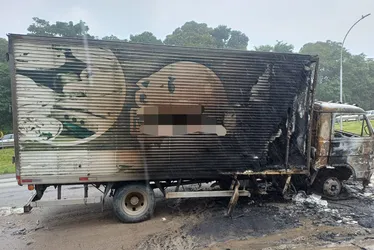Imagem ilustrativa da imagem VÍDEO: incêndio destrói caminhão na BR-101. Carga de carne foi saqueada