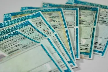 Imagem ilustrativa da imagem Inscrições para CNH de graça terminam neste domingo